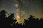 Main image California Nights