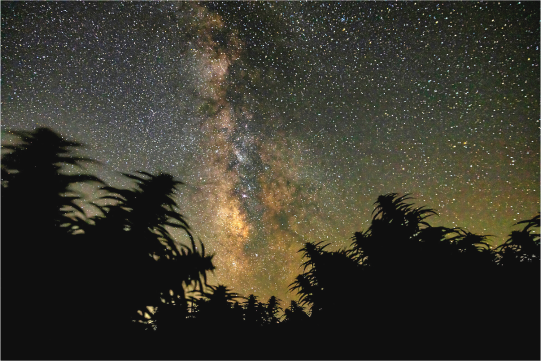 Main image California Nights