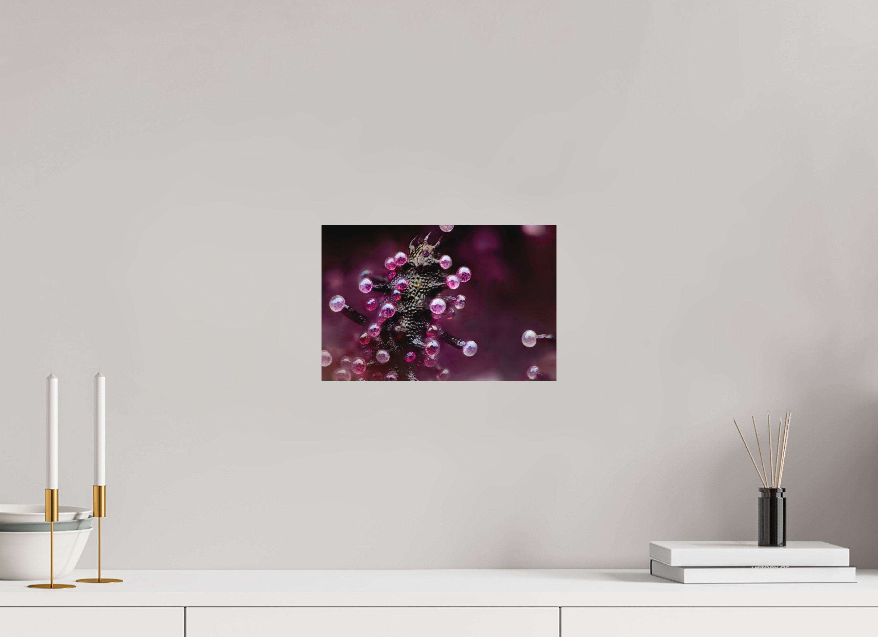 12 x 8″, Fuji Crystal DP II Matte Cosmic Coral